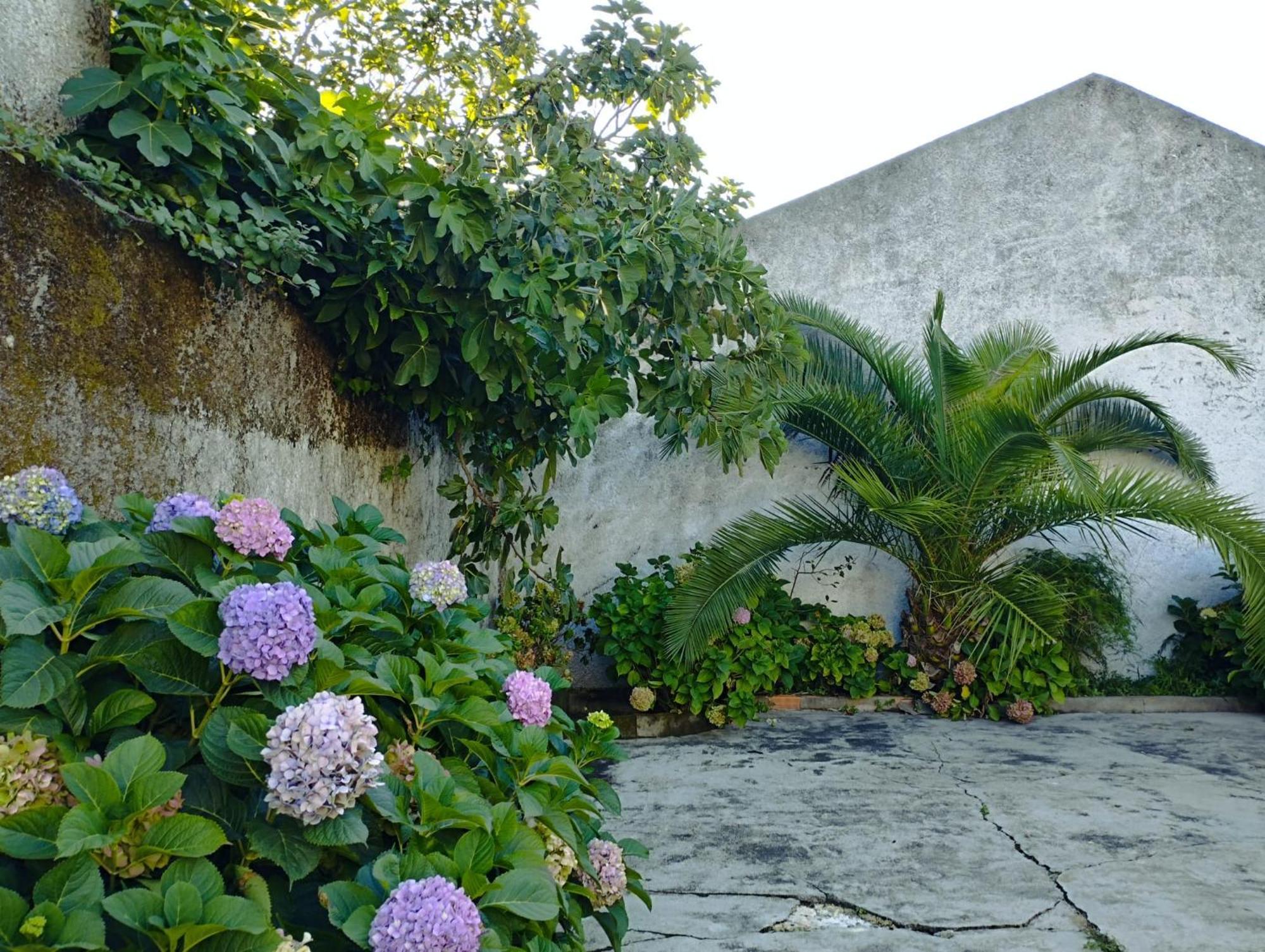 Villa Cle House à Anadia Extérieur photo